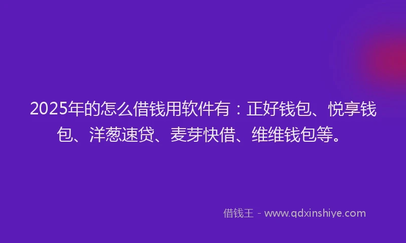 2025年的怎么借钱用软件有：正好钱包、悦享钱包、洋葱速贷、麦芽快借、维维钱包等。