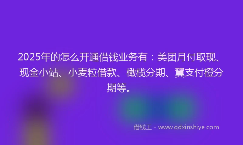 2025年的怎么开通借钱业务有：美团月付取现、现金小站、小麦粒借款、橄榄分期、翼支付橙分期等。