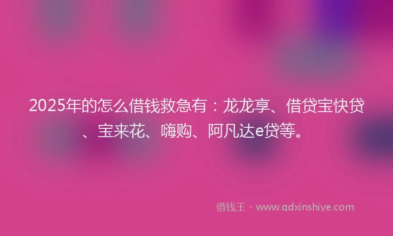 2025年的怎么借钱救急有：龙龙享、借贷宝快贷、宝来花、嗨购、阿凡达e贷等。