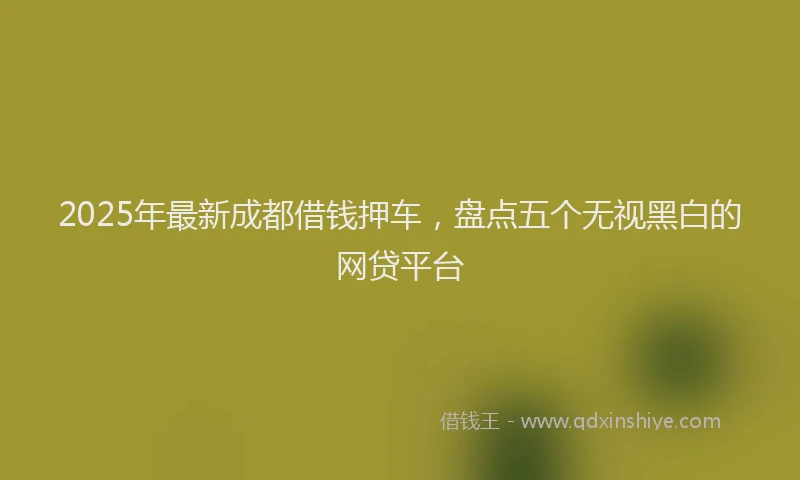 2025年最新成都借钱押车，盘点五个无视黑白的网贷平台