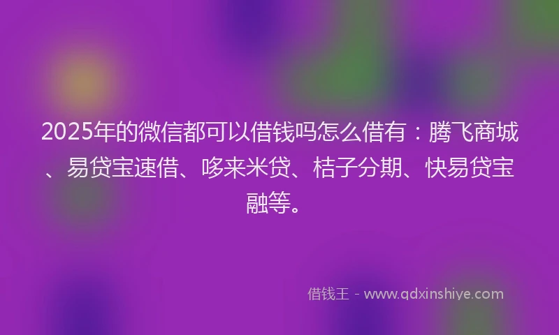 2025年的微信都可以借钱吗怎么借有：腾飞商城、易贷宝速借、哆来米贷、桔子分期、快易贷宝融等。