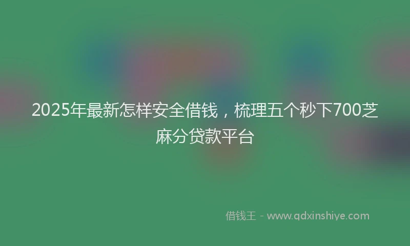 2025年最新怎样安全借钱，梳理五个秒下700芝麻分贷款平台