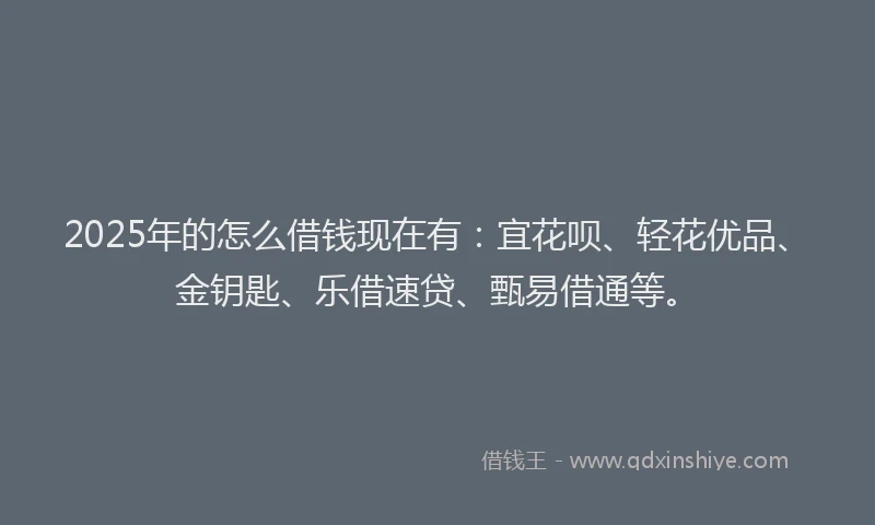 2025年的怎么借钱现在有：宜花呗、轻花优品、金钥匙、乐借速贷、甄易借通等。