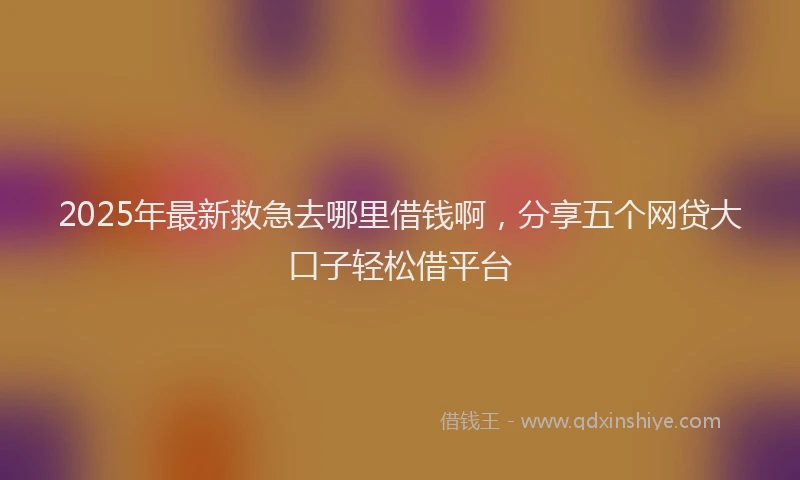 2025年最新救急去哪里借钱啊，分享五个网贷大口子轻松借平台