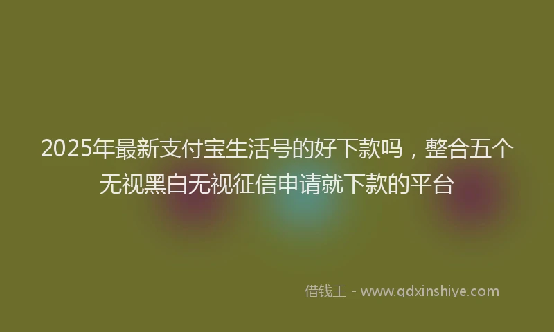 2025年最新支付宝生活号的好下款吗，整合五个无视黑白无视征信申请就下款的平台