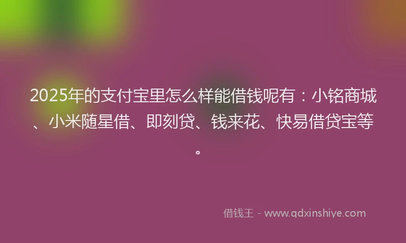 2025年的支付宝里怎么样能借钱呢有：小铭商城、小米随星借、即刻贷、钱来花、快易借贷宝等。