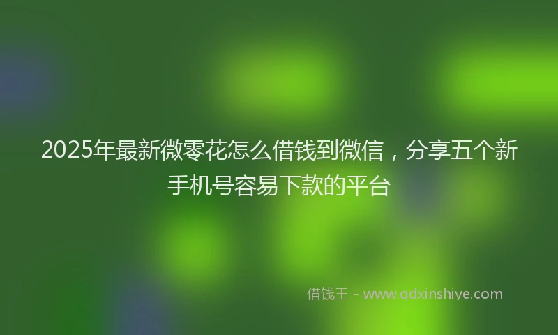 2025年最新微零花怎么借钱到微信，分享五个新手机号容易下款的平台