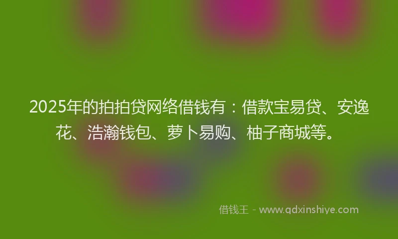 2025年的拍拍贷网络借钱有：借款宝易贷、安逸花、浩瀚钱包、萝卜易购、柚子商城等。