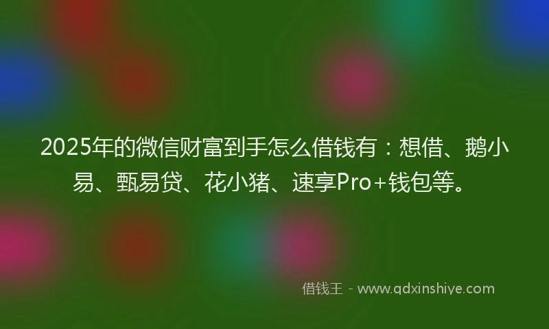 2025年的微信财富到手怎么借钱有：想借、鹅小易、甄易贷、花小猪、速享Pro+钱包等。