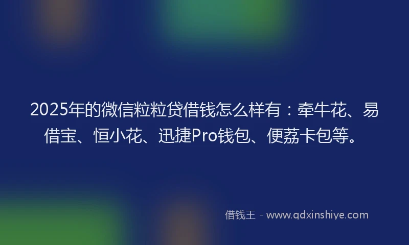 2025年的微信粒粒贷借钱怎么样有：牵牛花、易借宝、恒小花、迅捷Pro钱包、便荔卡包等。