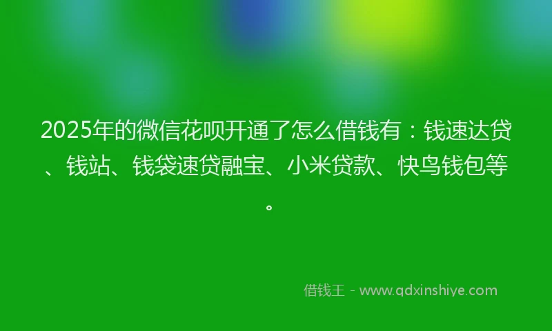 2025年的微信花呗开通了怎么借钱有：钱速达贷、钱站、钱袋速贷融宝、小米贷款、快鸟钱包等。