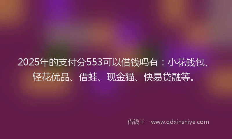 2025年的支付分553可以借钱吗有：小花钱包、轻花优品、借蛙、现金猫、快易贷融等。