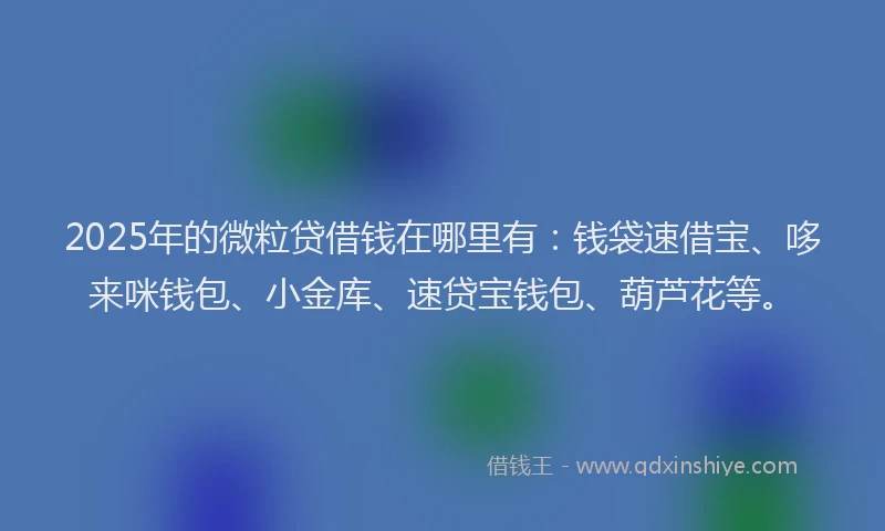 2025年的微粒贷借钱在哪里有：钱袋速借宝、哆来咪钱包、小金库、速贷宝钱包、葫芦花等。