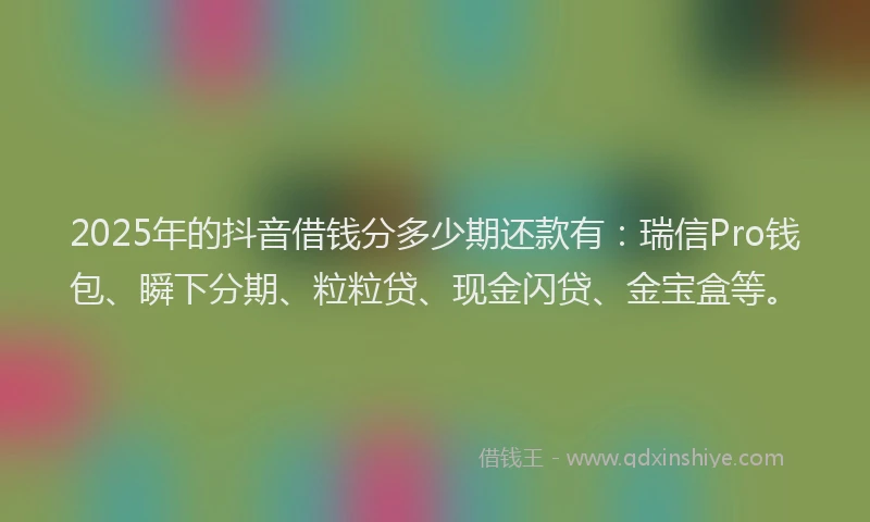 2025年的抖音借钱分多少期还款有：瑞信Pro钱包、瞬下分期、粒粒贷、现金闪贷、金宝盒等。
