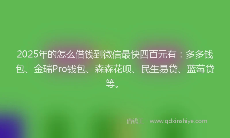 2025年的怎么借钱到微信最快四百元有：多多钱包、金瑞Pro钱包、森森花呗、民生易贷、蓝莓贷等。