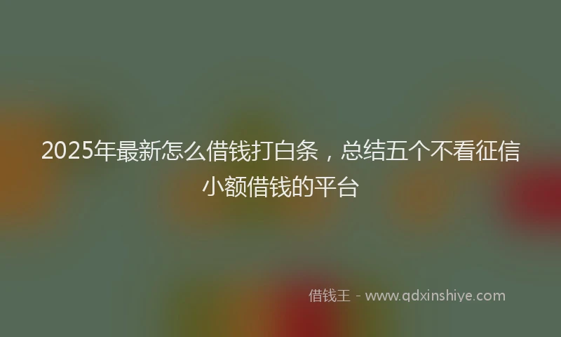 2025年最新怎么借钱打白条，总结五个不看征信小额借钱的平台