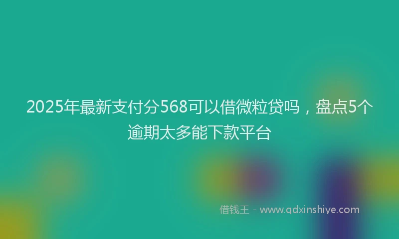 2025年最新支付分568可以借微粒贷吗，盘点5个逾期太多能下款平台