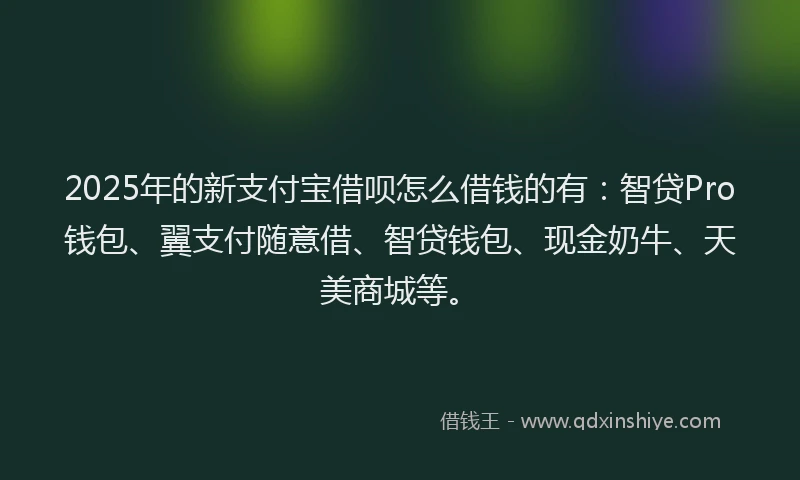 2025年的新支付宝借呗怎么借钱的有：智贷Pro钱包、翼支付随意借、智贷钱包、现金奶牛、天美商城等。