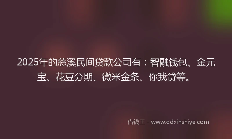 2025年的慈溪民间贷款公司有：智融钱包、金元宝、花豆分期、微米金条、你我贷等。