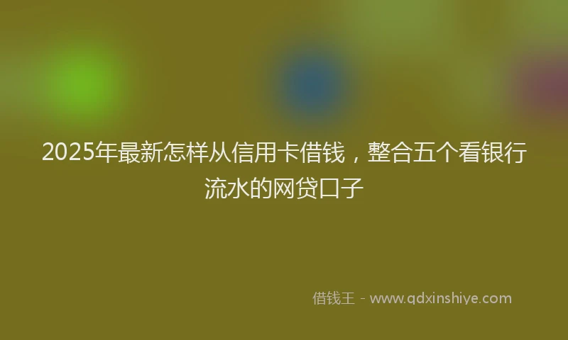 2025年最新怎样从信用卡借钱，整合五个看银行流水的网贷口子