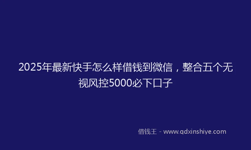 2025年最新快手怎么样借钱到微信，整合五个无视风控5000必下口子