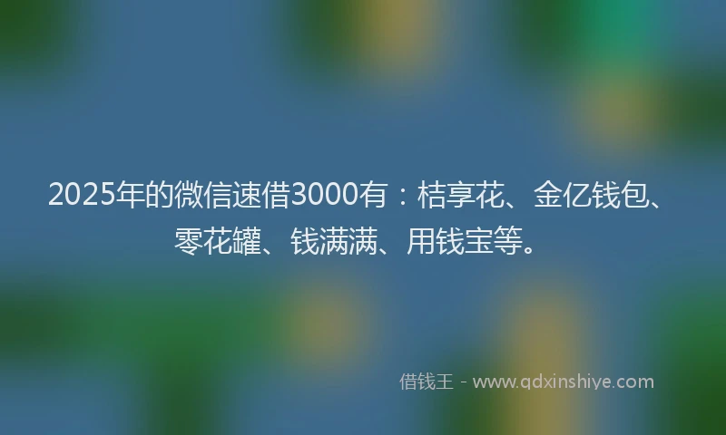 2025年的微信速借3000有：桔享花、金亿钱包、零花罐、钱满满、用钱宝等。