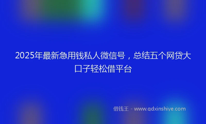 2025年最新急用钱私人微信号，总结五个网贷大口子轻松借平台