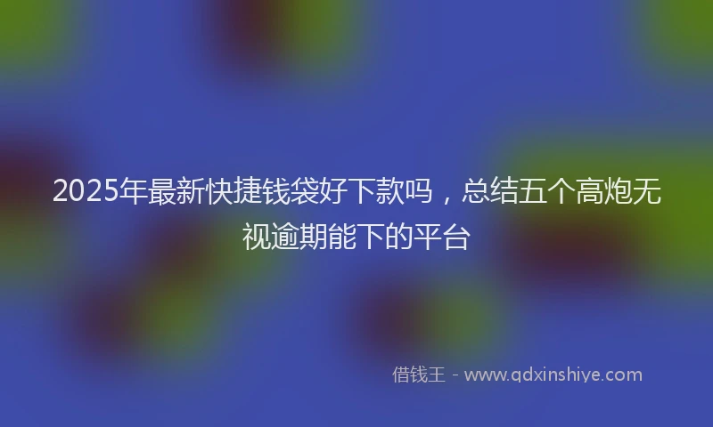 2025年最新快捷钱袋好下款吗，总结五个高炮无视逾期能下的平台