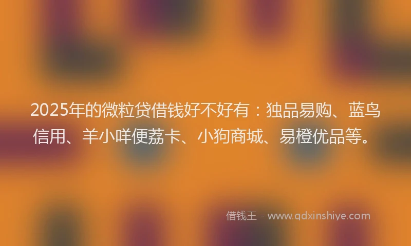 2025年的微粒贷借钱好不好有：独品易购、蓝鸟信用、羊小咩便荔卡、小狗商城、易橙优品等。