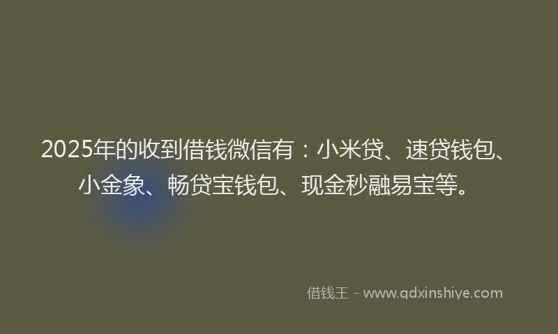 2025年的收到借钱微信有：小米贷、速贷钱包、小金象、畅贷宝钱包、现金秒融易宝等。