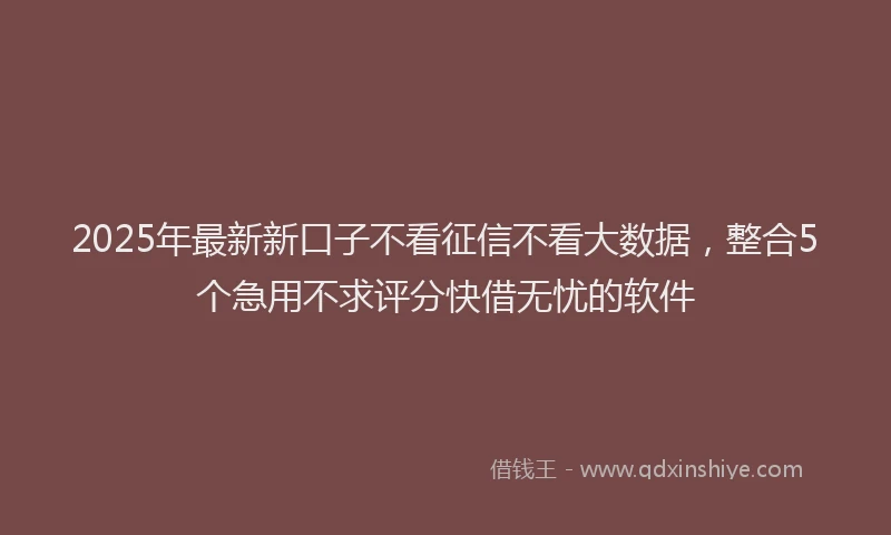 2025年最新新口子不看征信不看大数据，整合5个急用不求评分快借无忧的软件