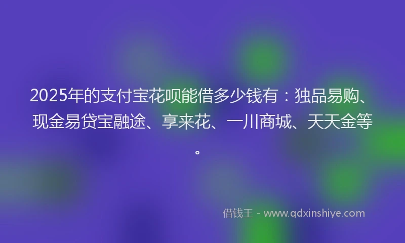 2025年的支付宝花呗能借多少钱有：独品易购、现金易贷宝融途、享来花、一川商城、天天金等。
