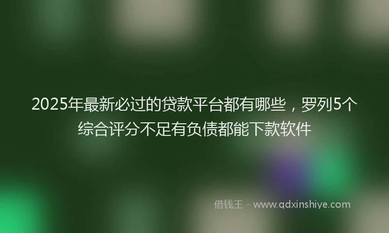 2025年最新必过的贷款平台都有哪些，罗列5个综合评分不足有负债都能下款软件