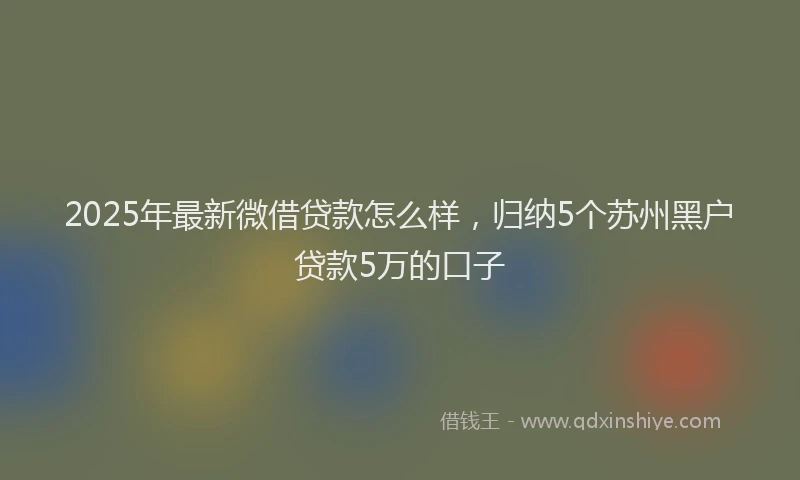 2025年最新微借贷款怎么样，归纳5个苏州黑户贷款5万的口子