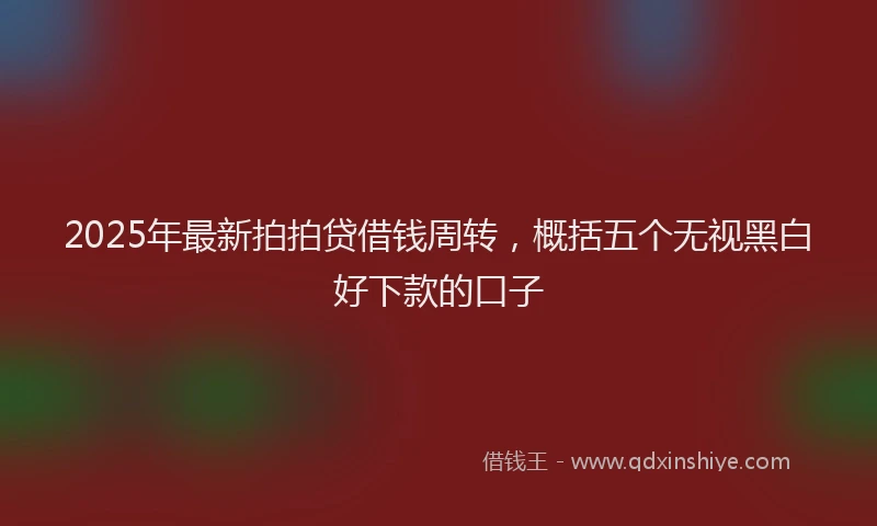 2025年最新拍拍贷借钱周转，概括五个无视黑白好下款的口子