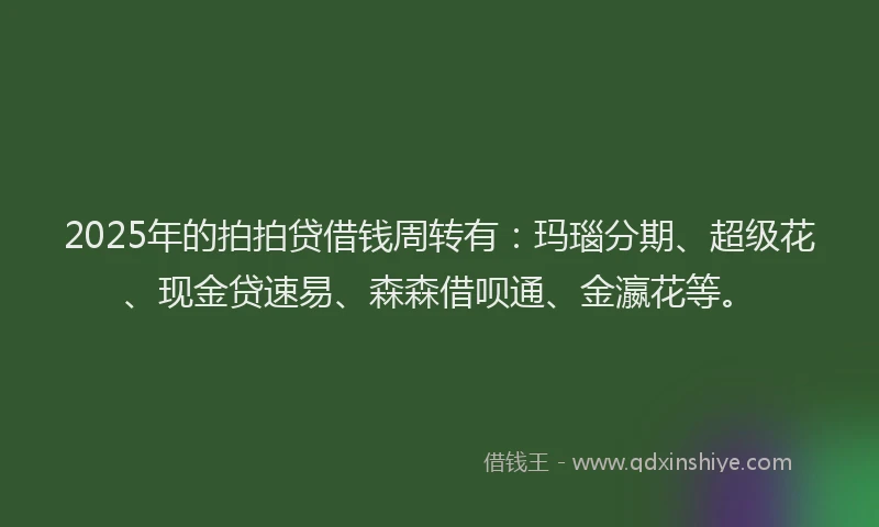 2025年的拍拍贷借钱周转有：玛瑙分期、超级花、现金贷速易、森森借呗通、金瀛花等。