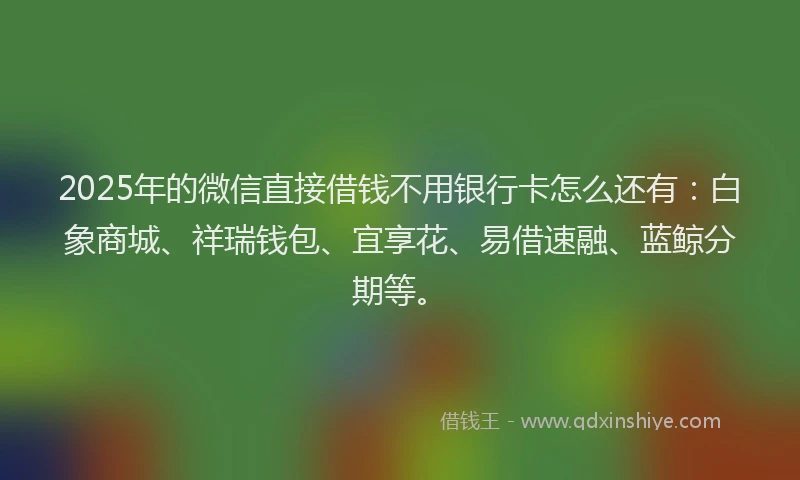 2025年的微信直接借钱不用银行卡怎么还有：白象商城、祥瑞钱包、宜享花、易借速融、蓝鲸分期等。