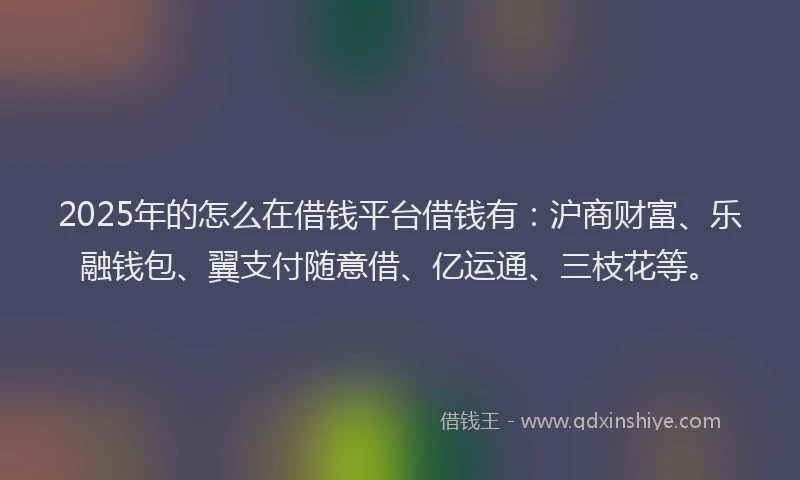 2025年的怎么在借钱平台借钱有：沪商财富、乐融钱包、翼支付随意借、亿运通、三枝花等。
