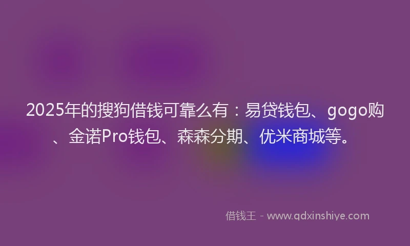 2025年的搜狗借钱可靠么有：易贷钱包、gogo购、金诺Pro钱包、森森分期、优米商城等。