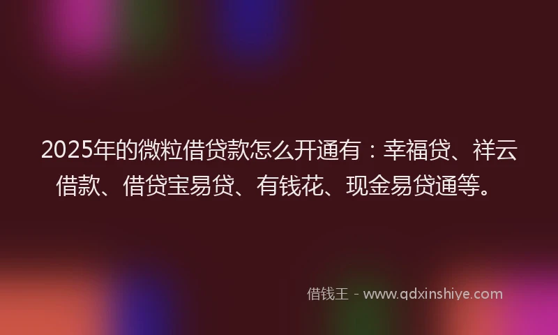 2025年的微粒借贷款怎么开通有：幸福贷、祥云借款、借贷宝易贷、有钱花、现金易贷通等。