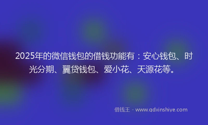 2025年的微信钱包的借钱功能有：安心钱包、时光分期、翼贷钱包、爱小花、天源花等。