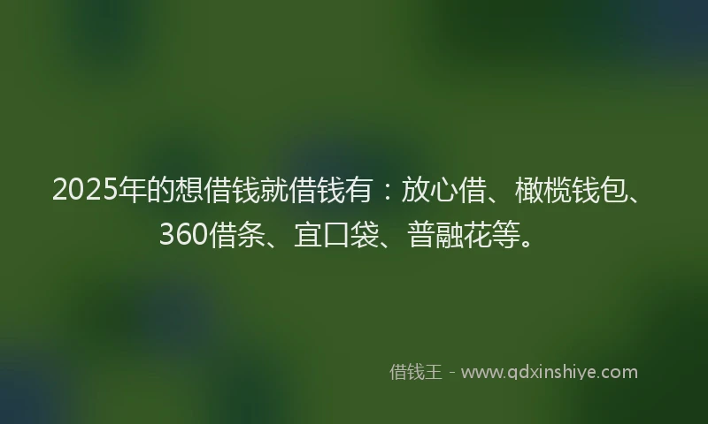 2025年的想借钱就借钱有：放心借、橄榄钱包、360借条、宜口袋、普融花等。