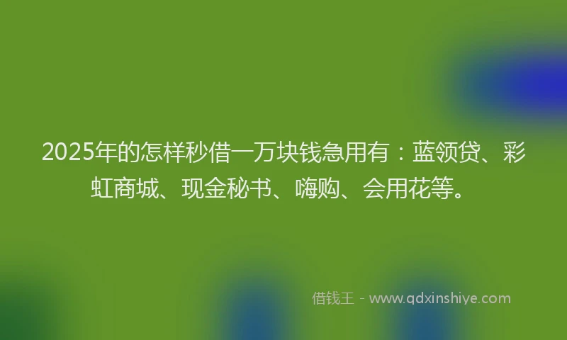 2025年的怎样秒借一万块钱急用有：蓝领贷、彩虹商城、现金秘书、嗨购、会用花等。