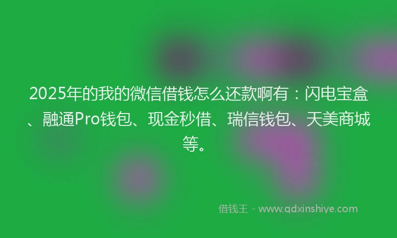 2025年的我的微信借钱怎么还款啊有：闪电宝盒、融通Pro钱包、现金秒借、瑞信钱包、天美商城等。
