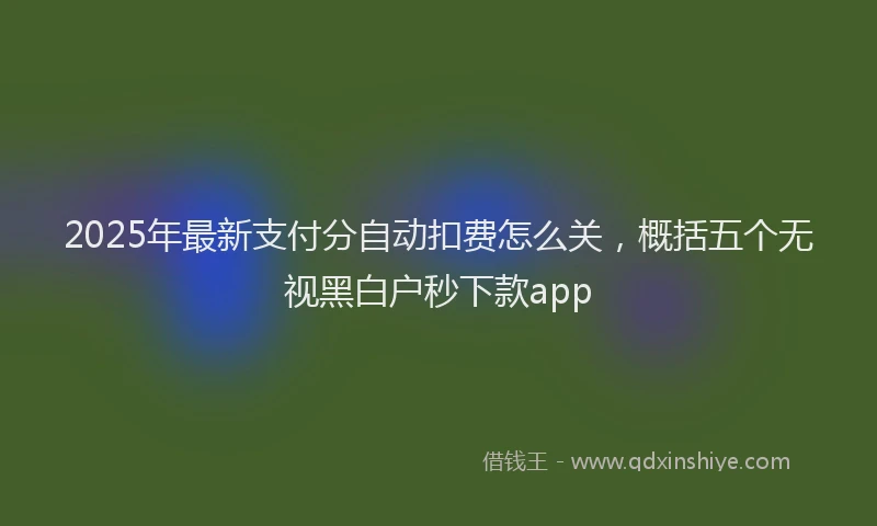 2025年最新支付分自动扣费怎么关，概括五个无视黑白户秒下款app