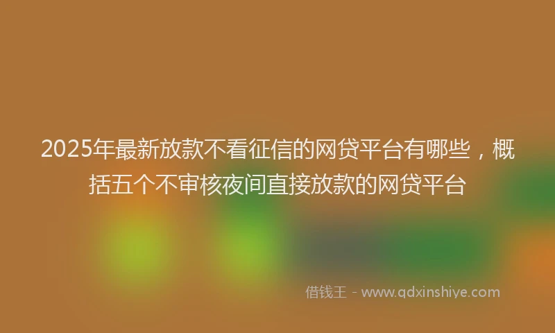 2025年最新放款不看征信的网贷平台有哪些，概括五个不审核夜间直接放款的网贷平台