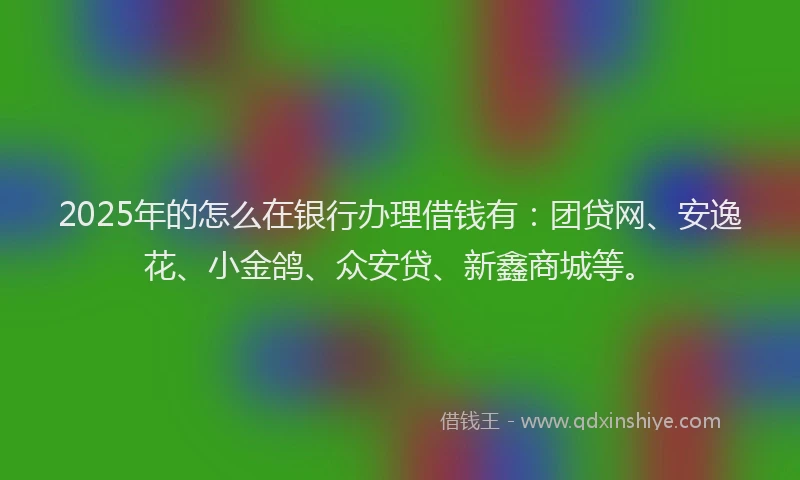2025年的怎么在银行办理借钱有：团贷网、安逸花、小金鸽、众安贷、新鑫商城等。