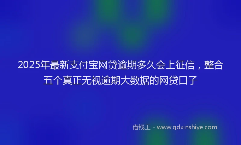 2025年最新支付宝网贷逾期多久会上征信，整合五个真正无视逾期大数据的网贷口子