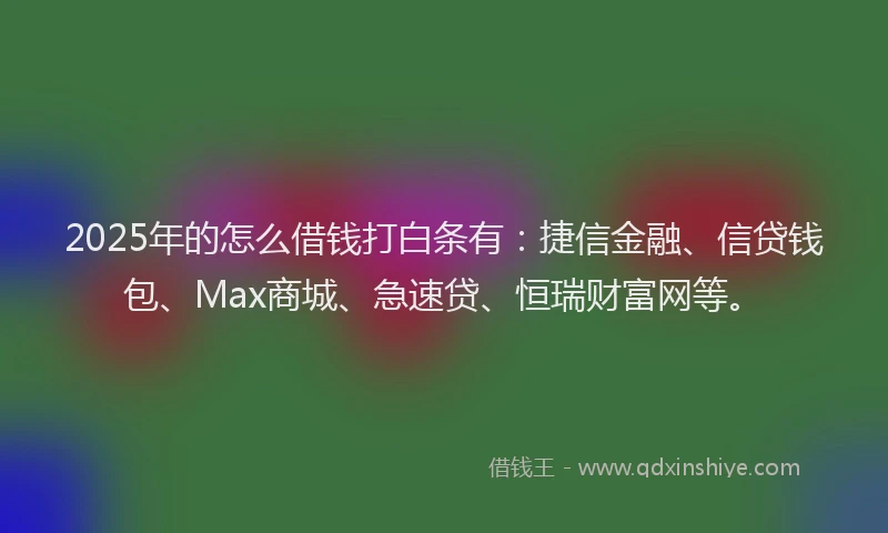 2025年的怎么借钱打白条有：捷信金融、信贷钱包、Max商城、急速贷、恒瑞财富网等。