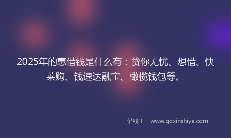 2025年的惠借钱是什么有：贷你无忧、想借、快莱购、钱速达融宝、橄榄钱包等。